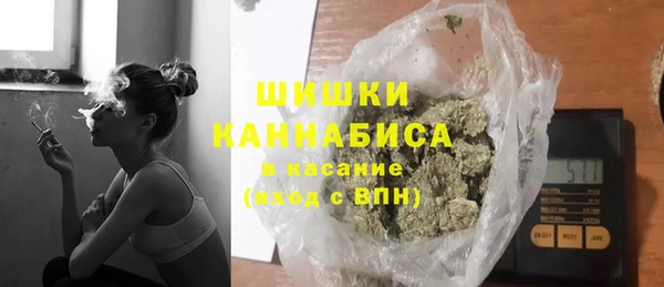 шишки Слюдянка