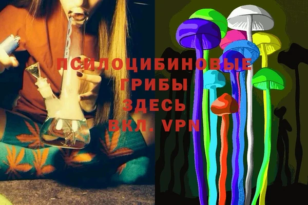 а пвп мука Снежногорск
