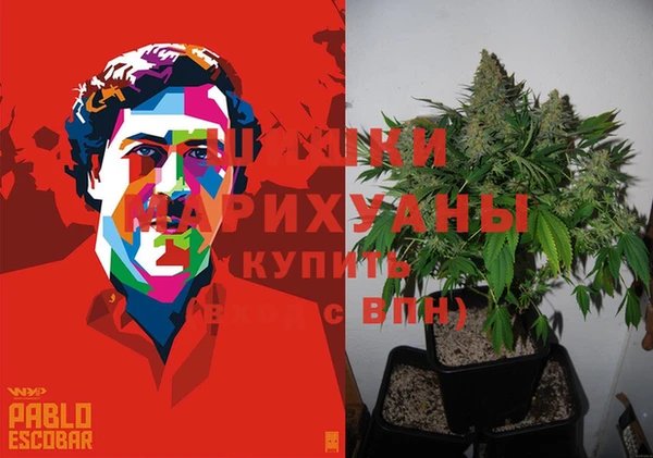шишки Слюдянка