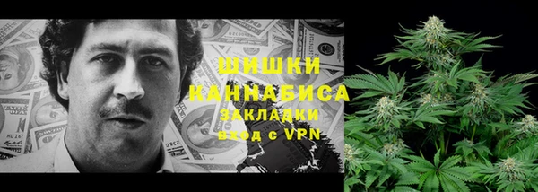 винт Абаза