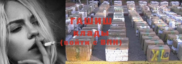 шишки Слюдянка